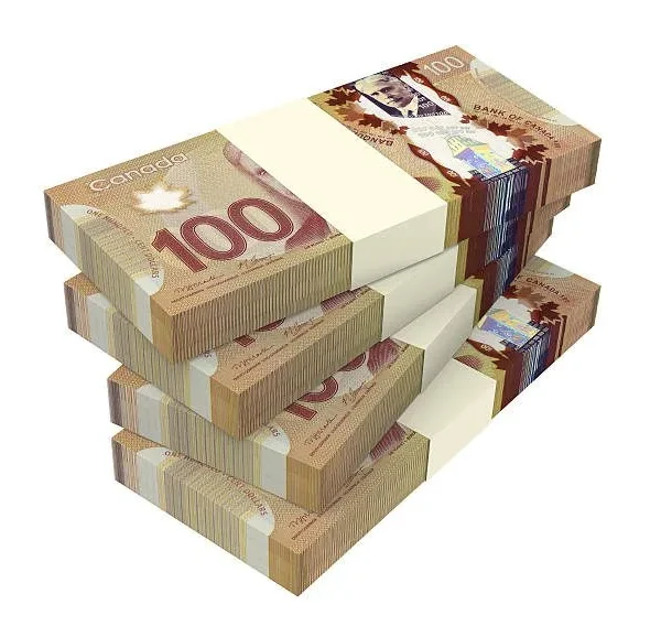 Fake canadian dollars